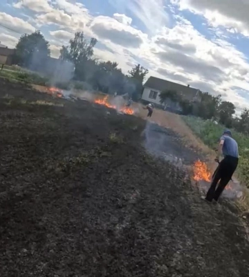 Вогонь, який коштує дорого: порушників карають за спалювання сухостою на Рівненщині (ВІДЕО)