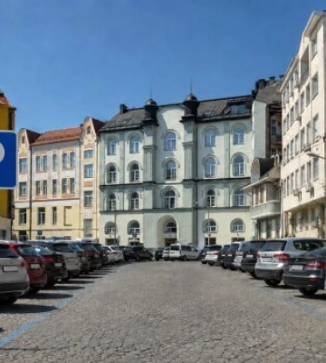Майже 17 млн грн за півтора року: скільки українське місто заробило на паркуванні й штрафах