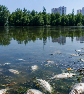 Під Києвом зафіксували масову загибель риби та забруднення водойм
