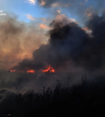 На Волині за добу вигоріло понад 2 гектари сухої трави та чагарників