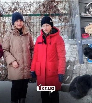 Пункты несокрушимости для бездомных животных: может Кривой Рог перенять опыт Житомирщины