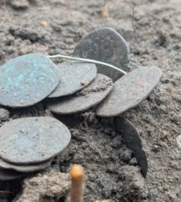На Полтавщині археологи знайшли скарб із 118 мідних монет XIV століття