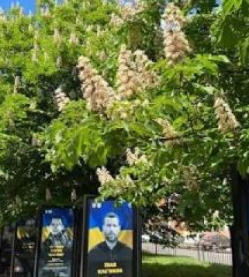 У Полтаві затвердили правила поведінки на Каштановій алеї