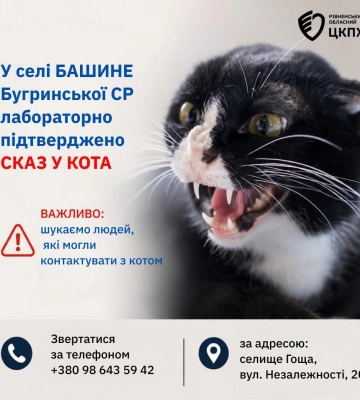 На Рівненщині кіт із сказом вкусив жінку: фахівці шукають людей, які могли контактувати з твариною