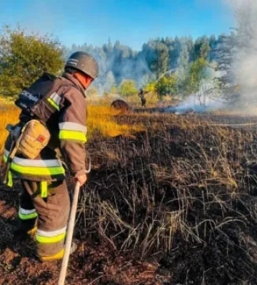 В Украине тушат семь пожаров в экосистемах, три из них — в Чернобыльской зоне