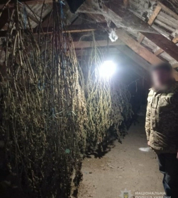 Понад 3 кг канабісу та PVP: на Одещині викрили трьох чоловіків з наркотиками