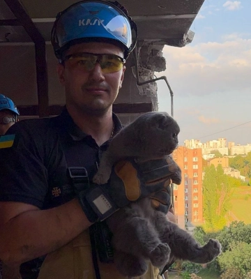 У Харкові з-під завалів зруйнованого будинку дістали вцілілого кота