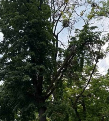 У Львові на кілька годин перекриють вул. Шота Руставелі: що сталося