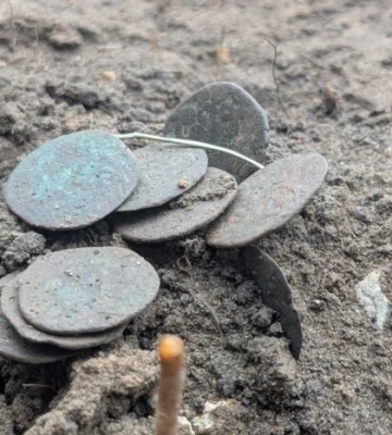 На Полтавщині знайшли скарб із монет XIV століття