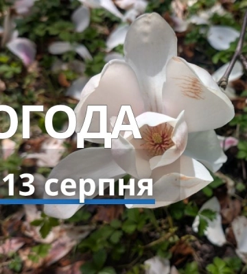 Якою буде погода у Харкові та області 13 серпня