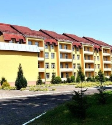 Перевірка табору "Артек Закарпаття" підтвердила частину зауважень, їх мають усунути, - Улютін