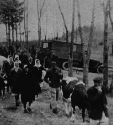 Викинуті з власної землі і домівок: нащадки депортованих із Польщі об’єдналися, щоб відновити пам’ять