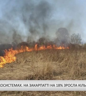 Пожежі в екосистемах. На Закарпатті на 18% зросла кількість займань (відео)