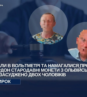 Двоє чоловіків намагалися продати за кордон стародавні монети з Ольвійської хори – їх засуджено на 5 років