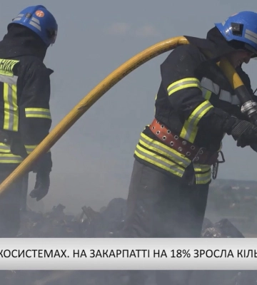 Карпатський бюлетень (13.08.26) Вечірній випуск (відео)