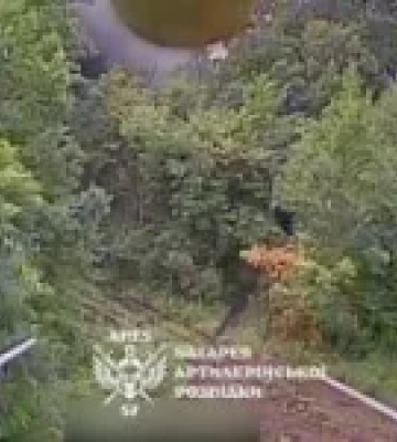Сили оборони знищили дві російські САУ 2С19 «Мста-С» на півночі Харківщини