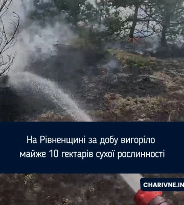 На Рівненщині за добу вигоріло майже 10 гектарів сухої рослинності