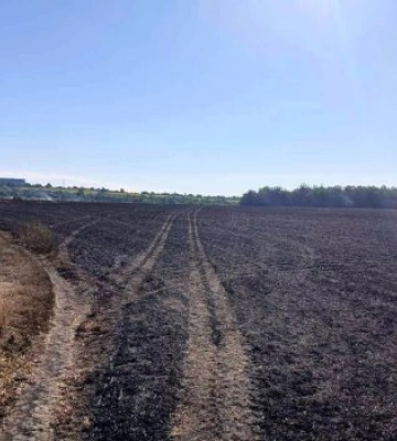 За спалювання стерні на Первомайщині оштрафовано чоловіка