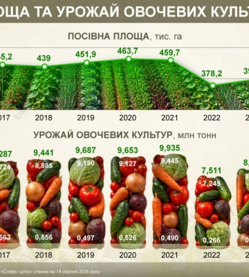 В каких областях выращивают больше всего овощей и как изменился урожай за годы вторжения — инфографика