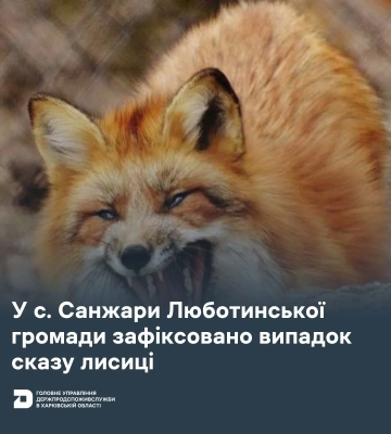 Бешеная лиса напала на мужчину и искусала его на Харьковщине
