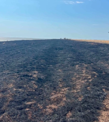 У серпні через російські обстріли та людську безвідповідальність у нацпарку на Одещині пожежі знищували гектари екосистем