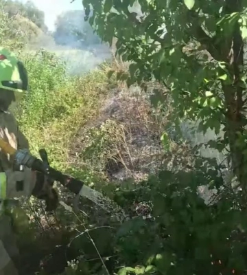 За добу рятувальники Рівненщини ліквідували 22 пожежі в екосистемах (ВІДЕО)