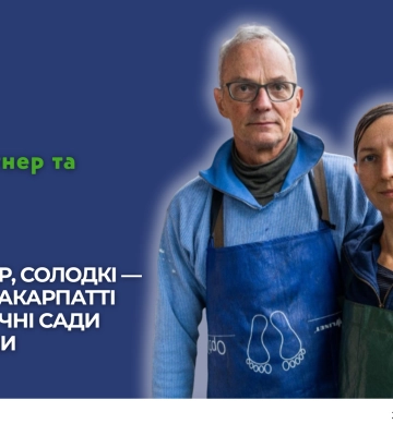 Гіркі — на сидр, солодкі — на сік: як на Закарпатті роблять яблучні сади прибутковими