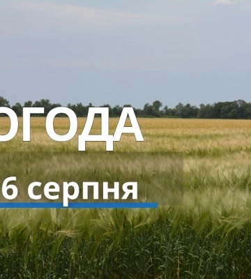 Якою буде погода у Харкові та області 6 серпня