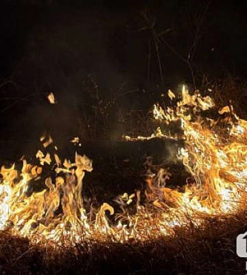 Криворізький район лідирує в Дніпропетровській області за кількістю пожеж в екосистемах