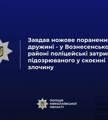 На Миколаївщині поліція затримала чоловіка, який вдарив дружину ножем у шию