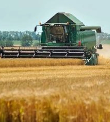 На Полтавщині завершили збирати ранні зернові та зернобобові