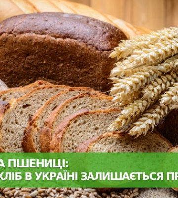 Альтернатива пшениці: чому житній хліб в Україні залишається преміальним