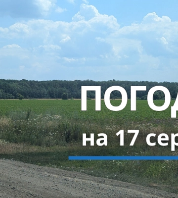 Спека повертається: прогноз погоди у Харкові та області на 17 серпня
