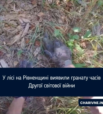 У лісі на Рівненщині виявили гранату часів Другої світової війни