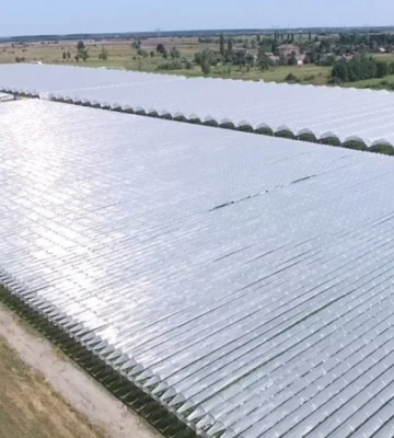 1000 тонн клубники в год. В Украине выставили на продажу тепличный комплекс