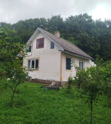 Отдых в Карпатах: сколько стоит арендовать дом в конце лета