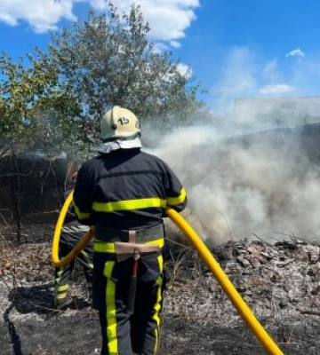 Вогонь пройшов за лічені хвилини: на Закарпатті масштабна пожежа сухостою ледь не знищила приватне обійстя