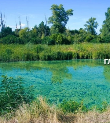 Чому «зацвів» Дніпро та які загрози це приховує: пояснення біолога