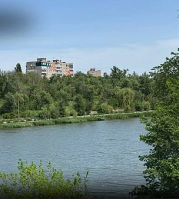 У двох водоймах Кривого Рогу виявили холероподібний вібріон — що це та чим небезпечний