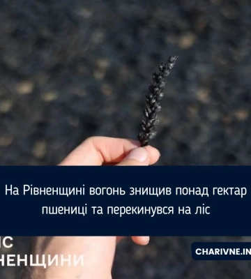 На Рівненщині вогонь знищив понад гектар пшениці та перекинувся на ліс