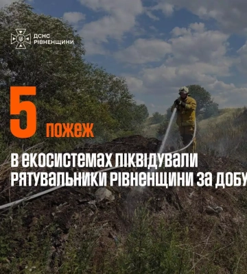 За добу на Рівненщині сталося 5 пожеж в екосистемах