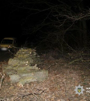 Хотіли заробити на дубах, а отримали вирок: на Одещині суд покарав "чорних лісорубів"