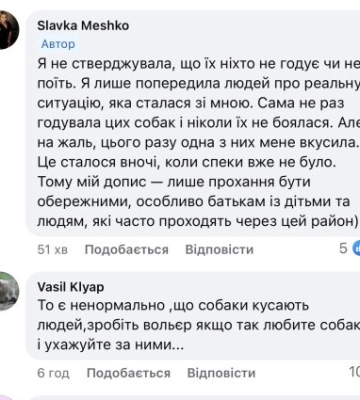 «Нападають і кусають»: жителів Виноградова попереджають про агресивних собак у одному з мікрорайонів