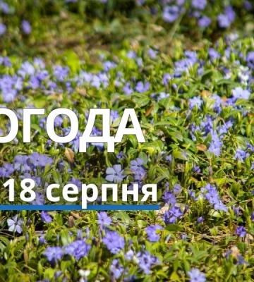 Погода у Харкові на сьогодні, 18 серпня