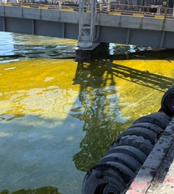 Рослинна олія у морі блокує кисень та завдає шкоди довкіллю Одещини 