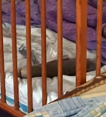У Херсоні російський дрон влучив у будинок: боєприпас впав у ліжечко з дворічним хлопчиком — фото