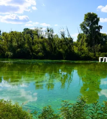 Дніпро перетворюється на болото: біолог назвав рибу-рятівника