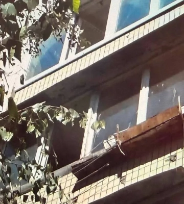 В Киеве женщина выбросила пинчера с балкона во время застолья: собака погибла, виновнице грозит до 8 лет