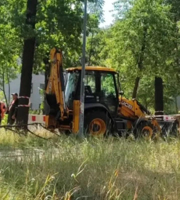 Роботи з видалення дерев на Теремках - КМДА не ухвалювала рішень