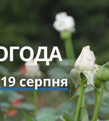 Дощ та до +23°С: детальний прогноз погоди у Харкові на 19 серпня